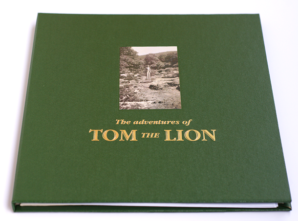 Tom The Lion